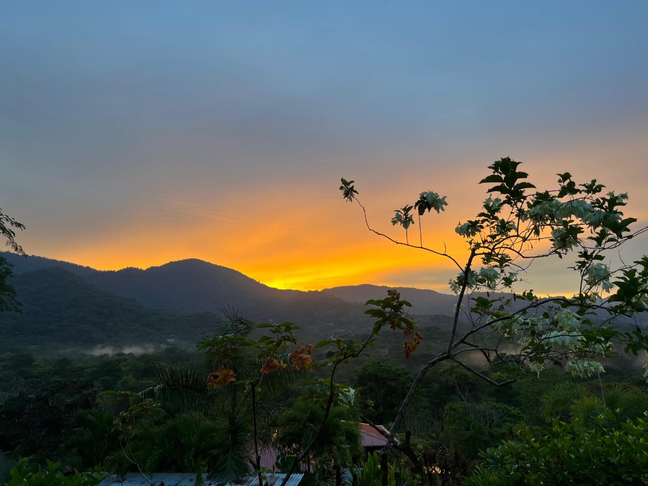 Sonnenaufgang in der Villa Bill