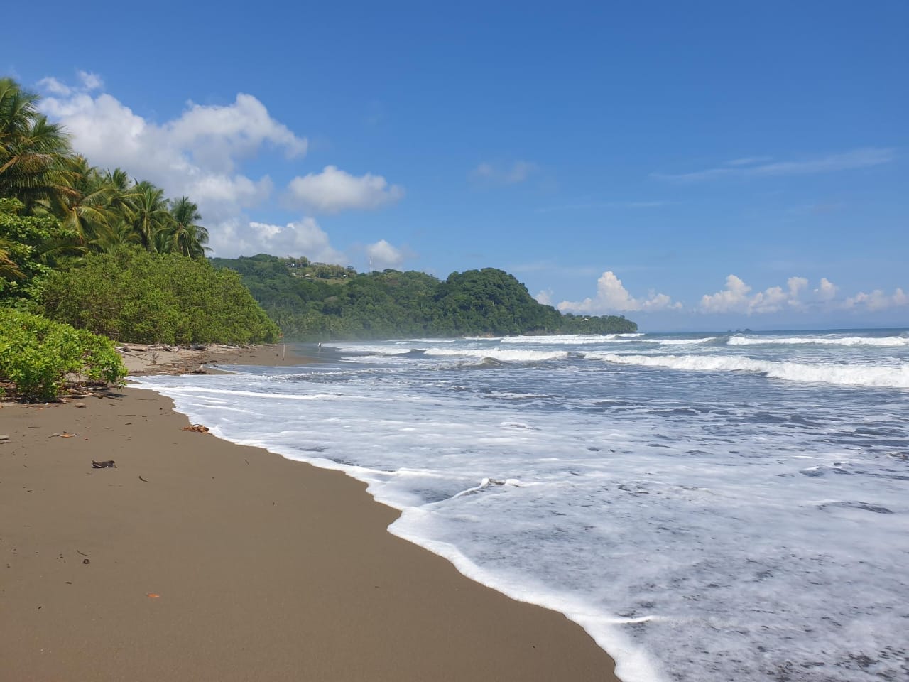 Nationalpark Marino Ballena